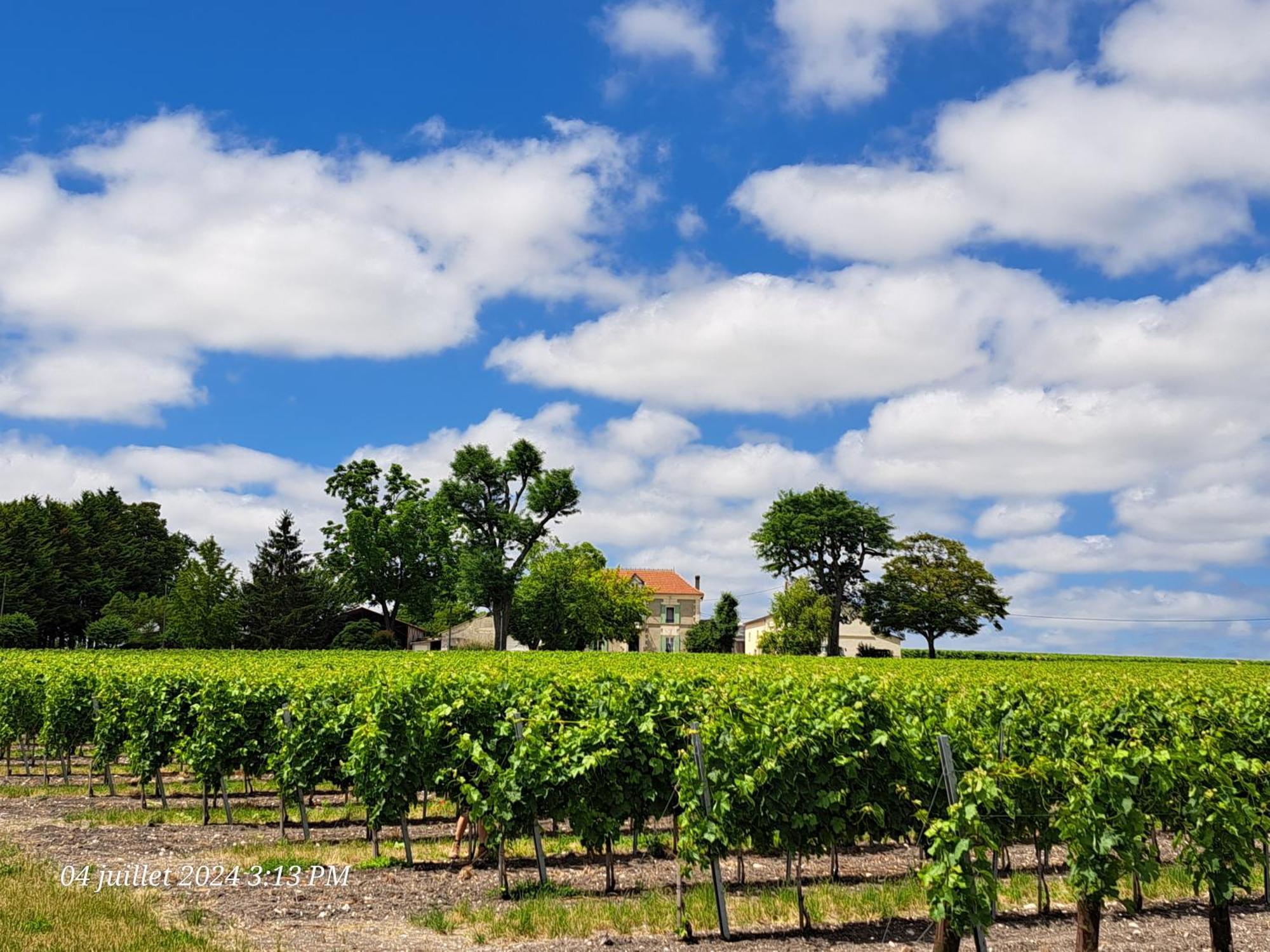 La Metairie Au Milieu Des Vignes Apartment Reaux Bagian luar foto