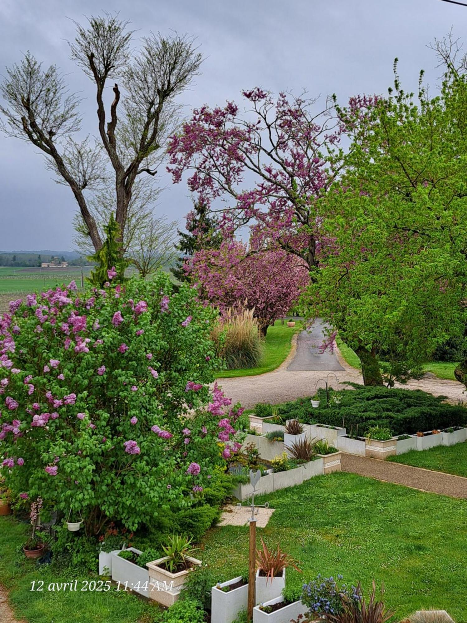 La Metairie Au Milieu Des Vignes Apartment Reaux Bagian luar foto